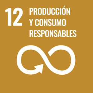 ¿Cómo impulsar la transición del tejido empresarial y de la ciudadanía malagueña hacia la sostenibilidad y el consumo responsable? IMPACT HUB, Málaga